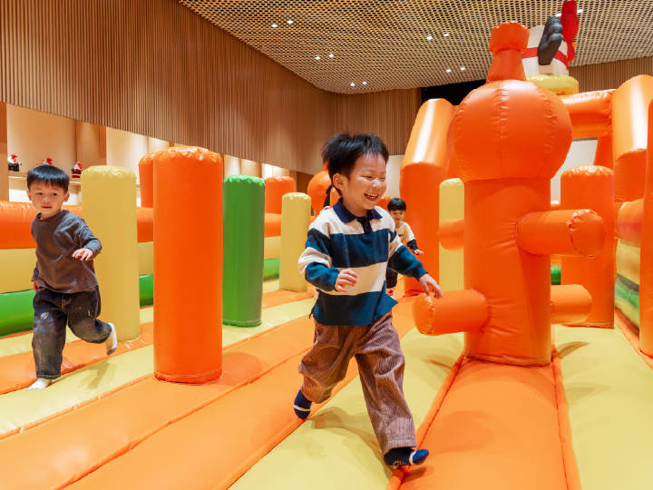 Samtastic Bouncy Castle