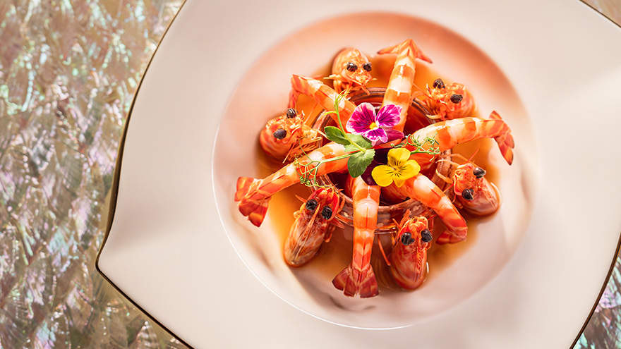 The Eight Chefs Recommendation