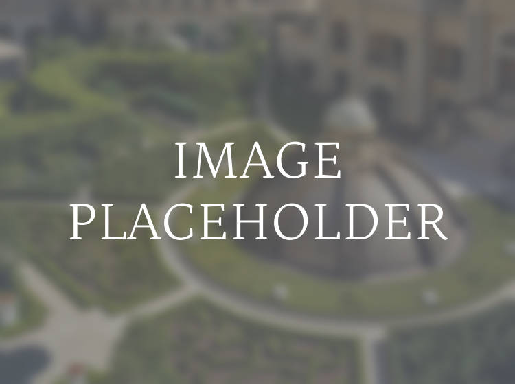 Placeholder
